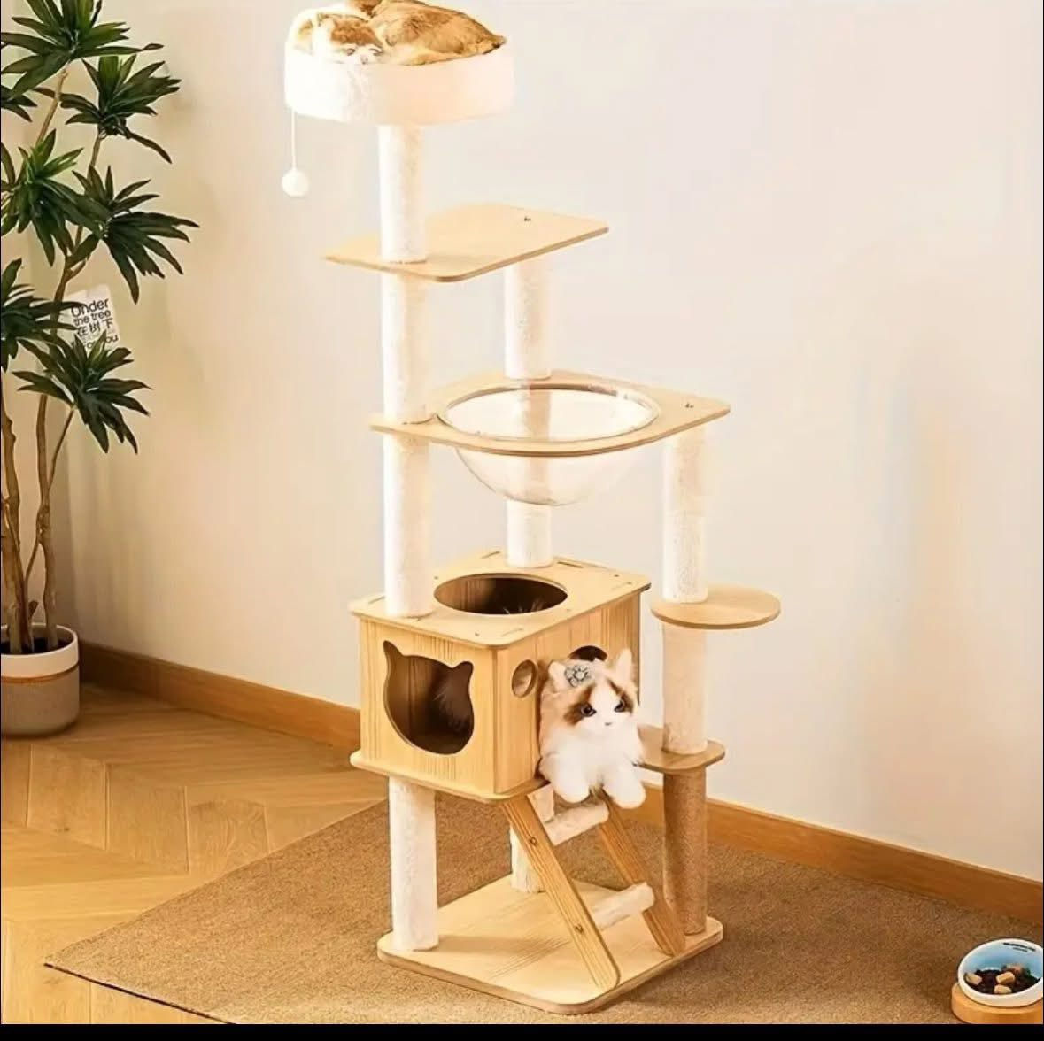 هذا المنتج عبارة عن شجرة أو برج تسلق وخدش للقطط، يوفر بيئة ترفيهية متكاملة لحيوانك الأليف.
المميزات: تحتوي على أعمدة مغطاة بألياف السيزال الطبيعية للخدش، ومخبأ مريح (بيت للقطط)، ومنصة علوية للمراقبة. 
الوظائف: توفر أماكن متعددة للاسترخاء، اللعب، وتسلق القطط. 
المواصفات العامة: تأتي بتصاميم متعددة المستويات، وغالبًا ما تكون مصنوعة من مواد خشبية ومغطاة بقماش ناعم (مخمل) للراحة. 
الفوائد: تشجع القطط على الحركة وتساعد في الحفاظ على أظافرها صحية بعيدًا عن الأثاث.
— في ‏اكسبلور‏.


**إذا كنت صاحب هذا الإعلان وتريد حذفه لأي سبب، رجاءا أرسل رسالة إلى الدعم الفني**