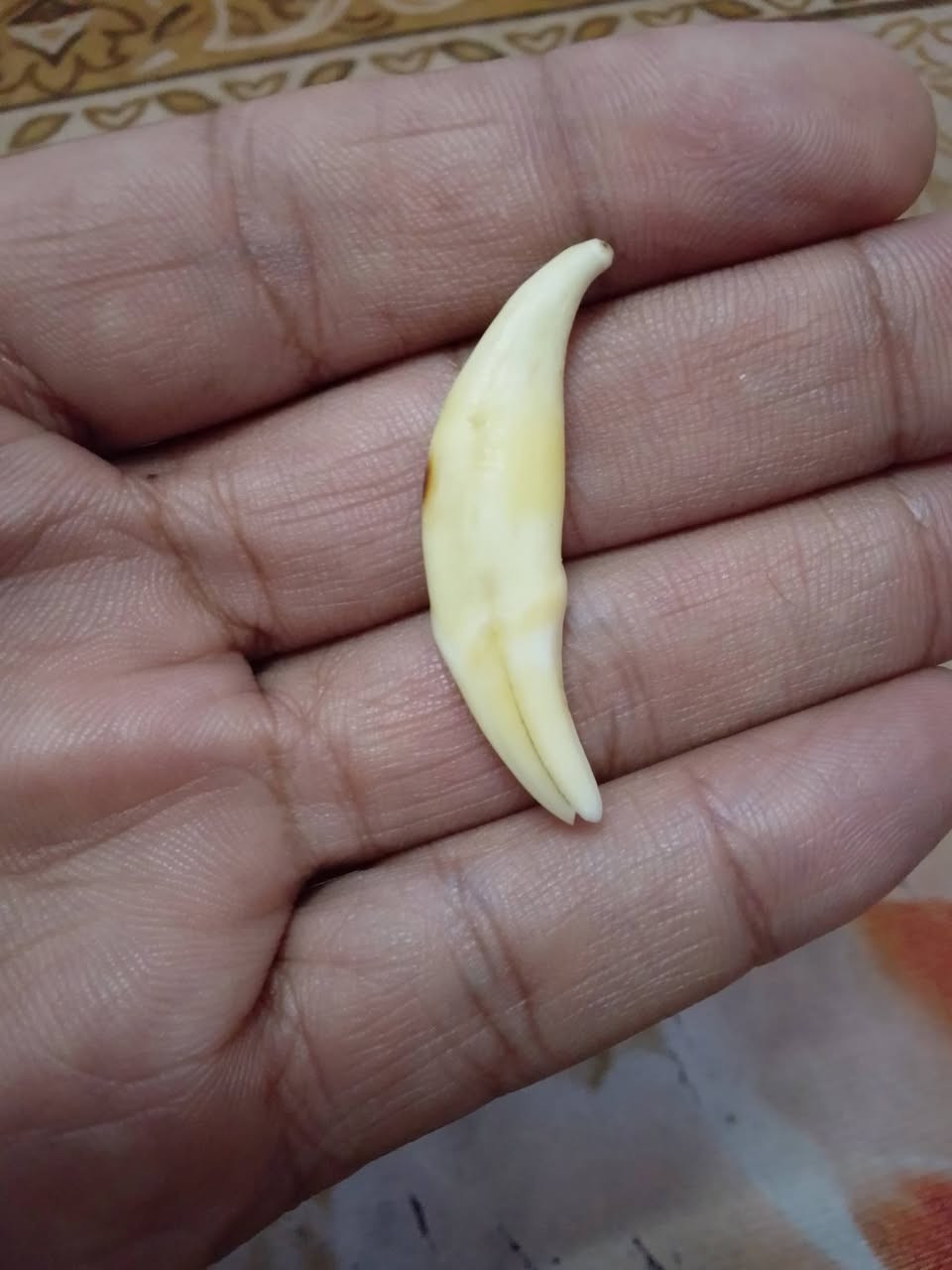 للبيع شلع مكاني بغداد العبيدي للتواصل على واتساب ***********
