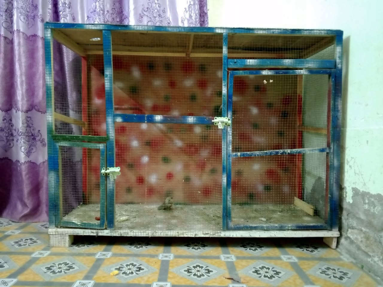 متاح 
اقفاصه وخانات ام الطير الابييض 60*40
لطيور الكوكتيلات وطيور الحب 
الشراي بي خير ويتدلل مكاني سنيه ***********
