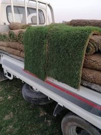 يوجد ثيل هندي للبيع للاستفسار اتصال على رقم الهاتف أو واتساب أو ماسنجر...