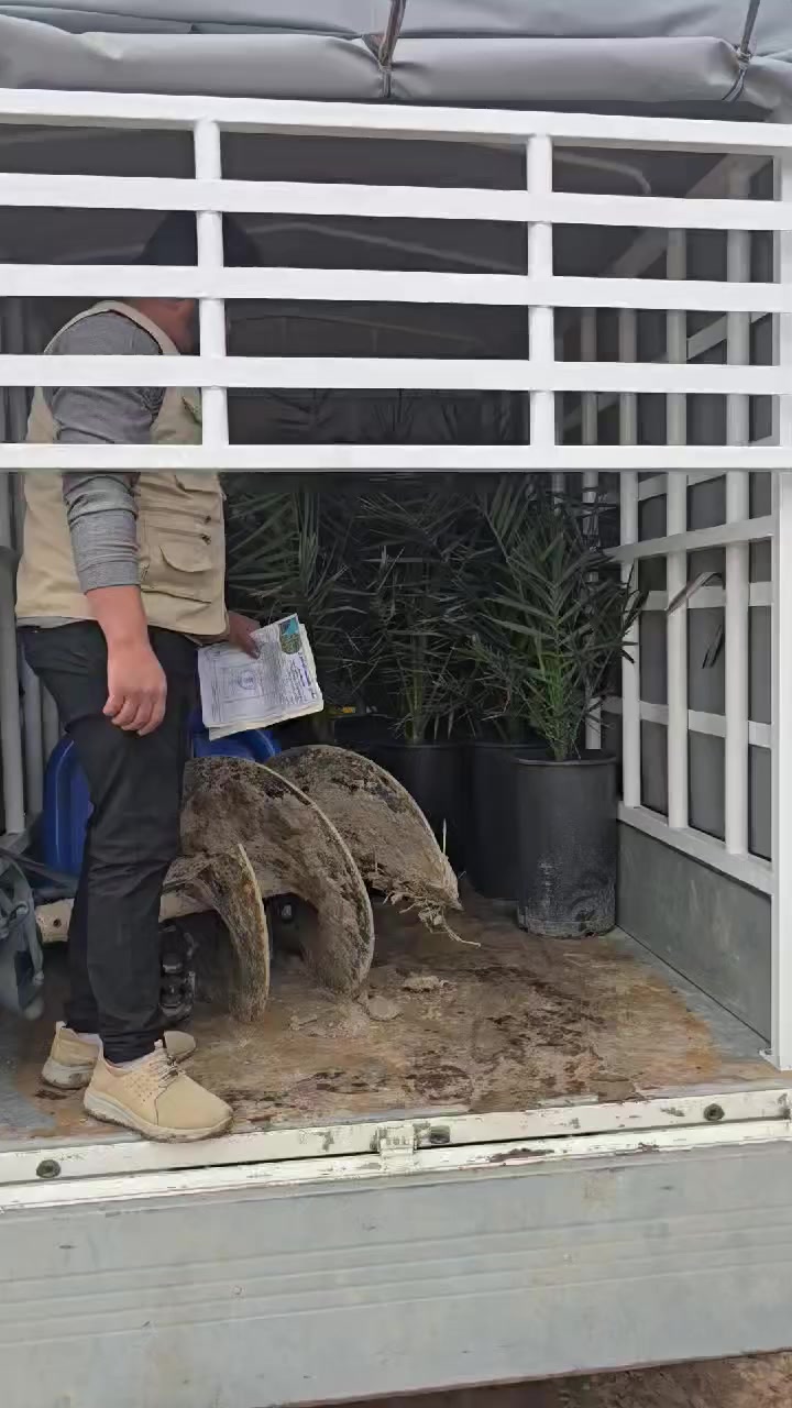 السلام عليكم متابعينا الكرام 🌴
📅 اليوم بتاريخ 2026/3/15

بفضل الله تعالى تم تجهيز الحاج مهدي من محافظة النجف الأشرف / الكوفة بفسائل المجهول النسيجي الفاخر من مختبر الوثبة الماريونية الفرنسي بعمر 3 سنوات وبأرتفاع أكثر من متر، وهي من الفسائل المميزة ذات الجودة العالية.

📄 تم تزويد الحاج مهدي بـ:
▪️ كارت ضمان لحين الإثمار
▪️ شهادة صحية رسمية صادرة من دائرة زراعة واسط وموجهة إلى دائرة زراعة النجف.
_______________________________
للاستفسار الاتصال على الارقام التالية📞 :
*********** /*********** او مراسلة الصفحة.  
العنوان📍 : واسط /قضاء الصويرة /مجاور محطة وقود ديار شمر
