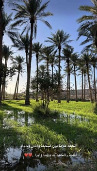 وبركاته للبيع دوانم طابو زراعي – سند 25 📍 الموقع: بغداد / أبو غريب الم...