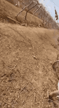 سحب حطب تنضيف فول ***********
