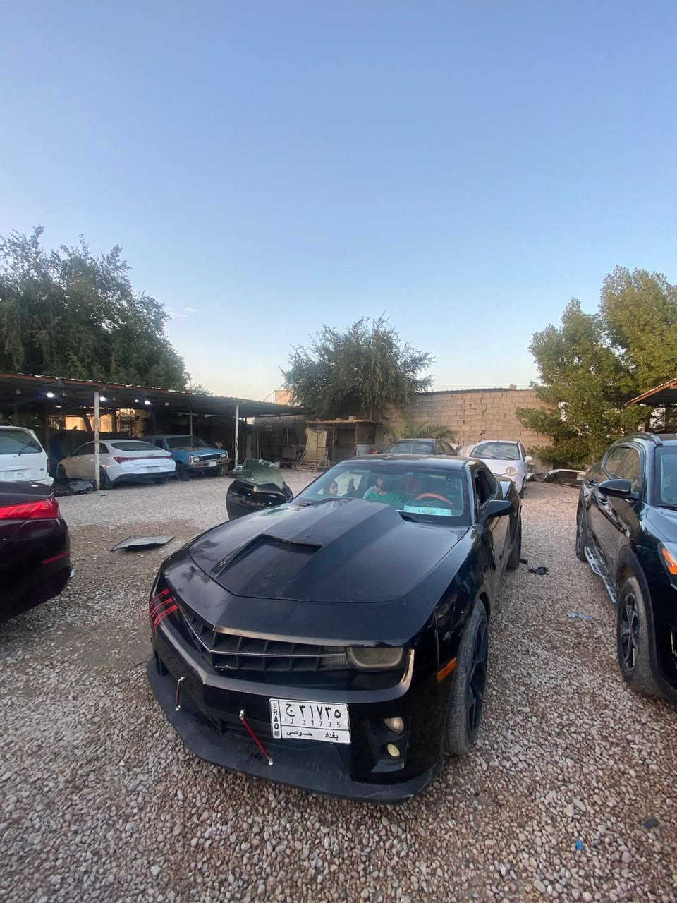 السلام عليكم اريد مراوس بهاي الكمارو شنو عندك نزل بتعليقات كون اربع بيبان


**إذا كنت صاحب هذا الإعلان وتريد حذفه لأي سبب، رجاءا أرسل رسالة إلى الدعم الفني**