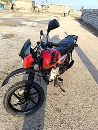 بوكسر • ٢٠١٩ • اوراق