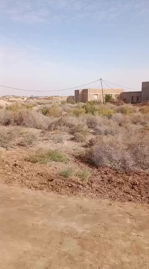 السلام عليكم عدنه قطعه للبيع في الاسمده ابو الخصيب يم النهر الروائي على صفحه شط العرب دونم اله طابو صرف *********** سيدرائد
