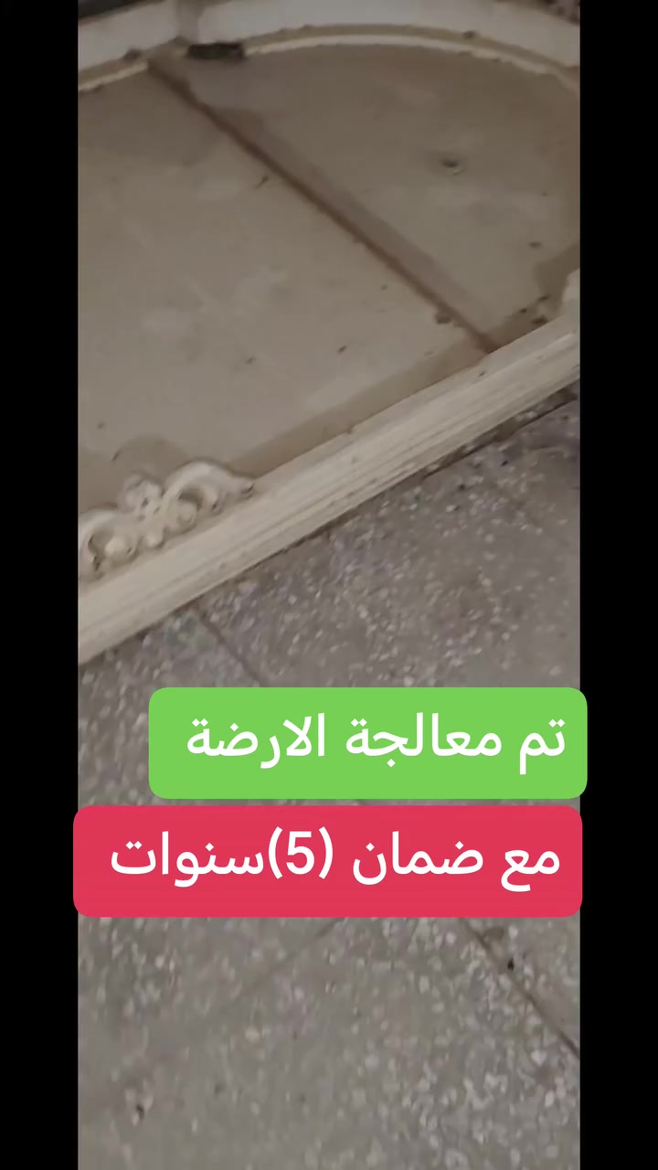 #عندك #ارضة بالبيت ؟ ( 🐜) وماكلة الحايط #والاخشاب وتريد تخلص منها الحل يم مكتب جنة الحياة الزراعي لمكافحة  وحشرة الأرضة طبعاً اول شي نفحص بيتك بجهاز سونار وبعده رش المبيدات #وبضمان حقيقي✅تصل مدة الضمان الى 5 #سنوات موجود عروض وخصومات لكل دوائر الحكومية  ومجمعات السكنيه وهاا تعفير وتعقيم مجاني ومواد فايروسه ناقله للعدوه بنسبه للحشرات صحه عامه عديمة الرائحة  وميحتاج اخلاء الموقع  وكوادرنا تعمل لجميع  محافظاات العراق الآن #اتصل بنا #*********** (☎️) او مراسلة الصفحة الرئيسية او الاتصال على رقم #الهاتف ☎️***********
