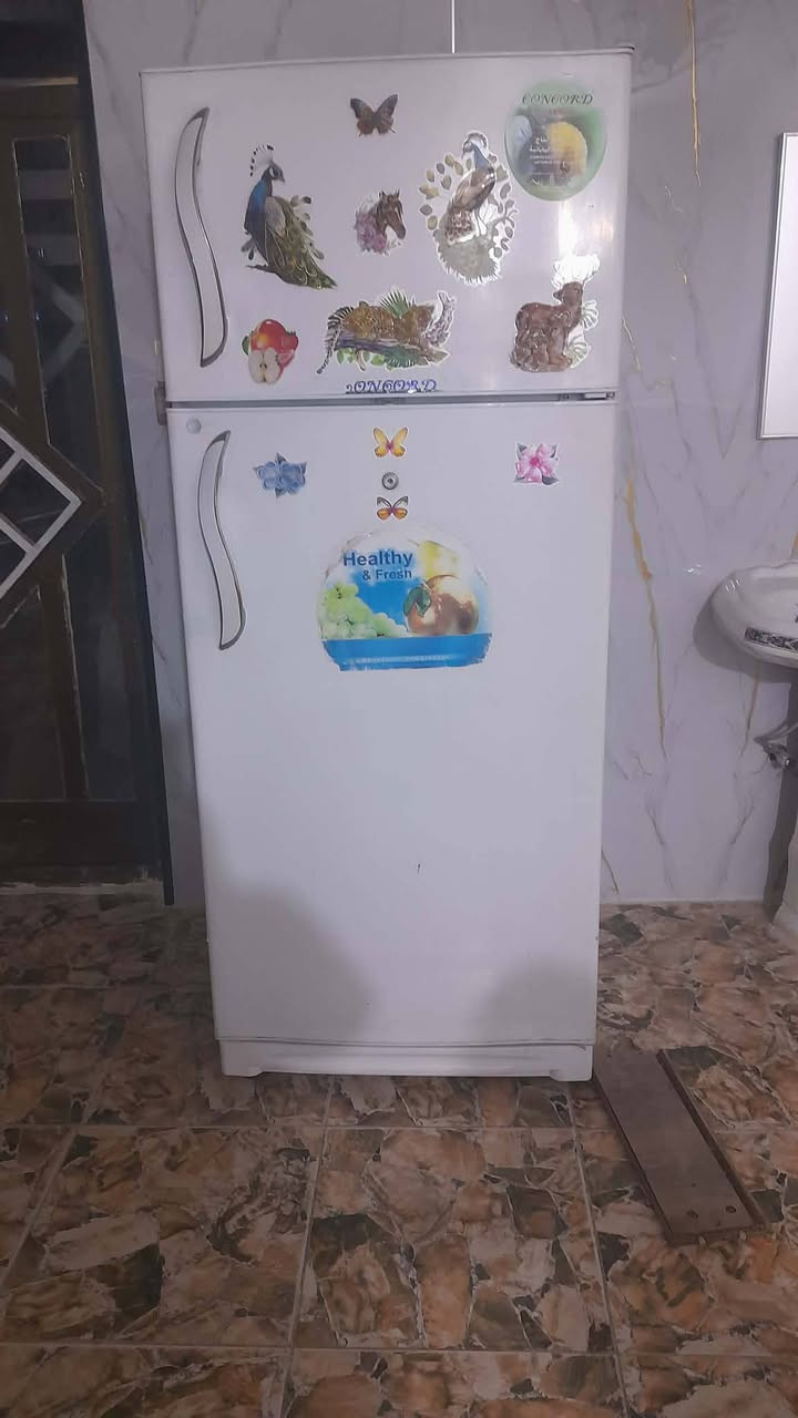 ثلاجه للبيع السعر٣٥٠ بيه مجال ٢٤ قدم زعفرانيه


**إذا كنت صاحب هذا الإعلان وتريد حذفه لأي سبب، رجاءا أرسل رسالة إلى الدعم الفني**