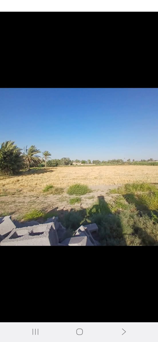 سلام عليكم ارظ زراعيه 7 دونم معه بيت معه حقل حلال تبعد عن السوق كلوين ركن عله شارع قضاء جبله حي الفرات فرع المصلخ رقم الهاتف ***********
