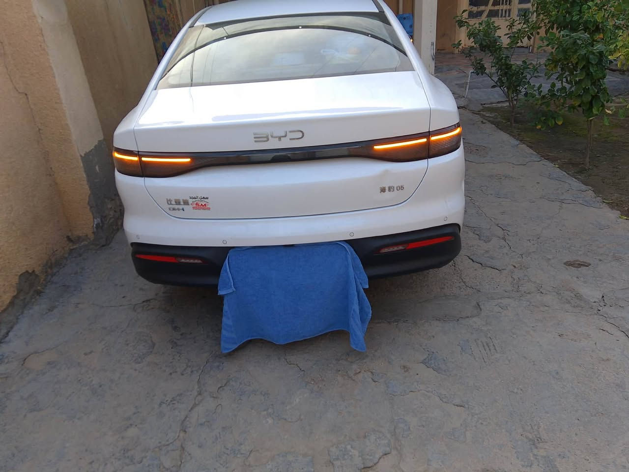 سيارة بي واي دي سيل 2025
بانزين تمشيك 2100 كيلو
سعه التانكي 65لتر 

حجم المحرك 1.5

شاشه اصليه 

هند بريك كهرباء

دشبول شاشه ديجيتال

اوتو هولد

تشغيل عن بعد تحكمات مقود

اوامر صوتيه

منفذ طاقه

منافذ شحن

مقود جلد حياكه

دخول ذكي

3 وضعيات قيادة

اشاير بل مري

تتسع المقصورة ل 5 ركاب

المقاعد جلد

اناره داخليه LED

لد امامي LED

‏LED بك لايت

قطعتين تبريد 

مثبت سرعة

حجم الاطار 16
 السعر ١٨٠٠٠قفل.           ***********
