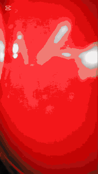 سلام عليكم  رقم و سنويه تنتهي 2030 شاصي 11 تعمير 25  حالياً دراجة كامله مو حربيه سعر مليون و600 رقم ***********
