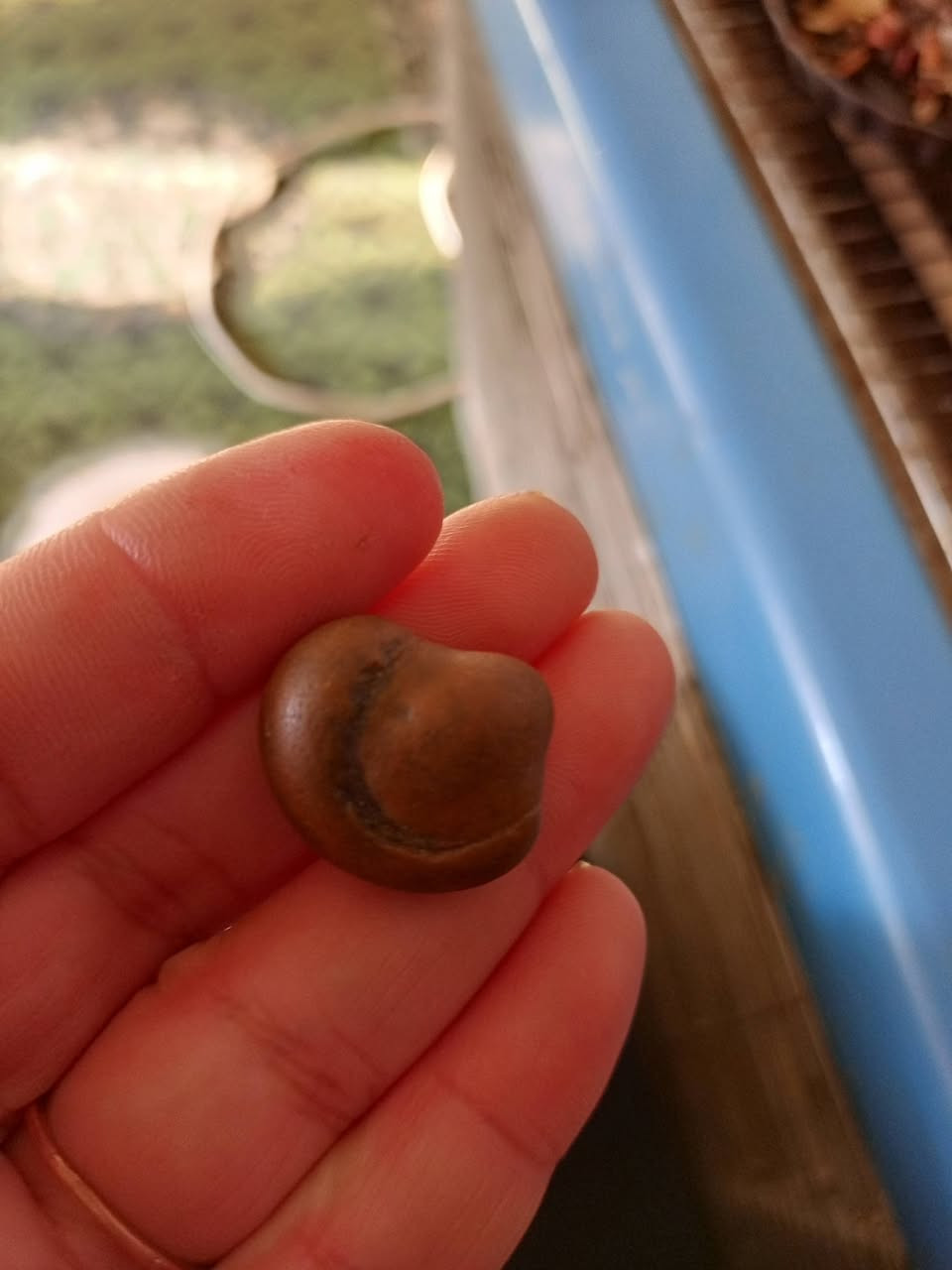 للبيع قيم باليرضي الله


**إذا كنت صاحب هذا الإعلان وتريد حذفه لأي سبب، رجاءا أرسل رسالة إلى الدعم الفني**