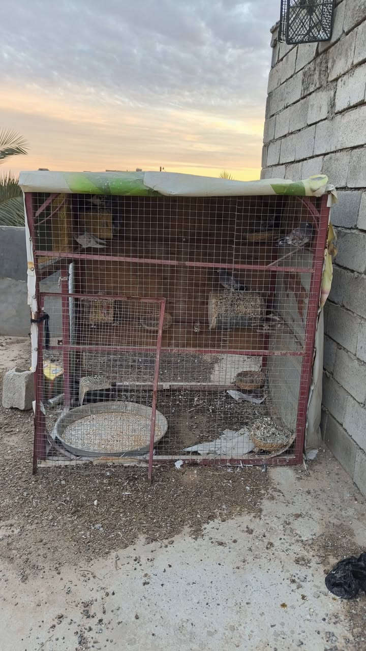 السلام عليكم قفص طيور للبيع العرض متر ونص الطول مترين الارتفاع 170 زائدا قفص بلابل خشب المكان العلم قرب سيطره 14 ) ***********
