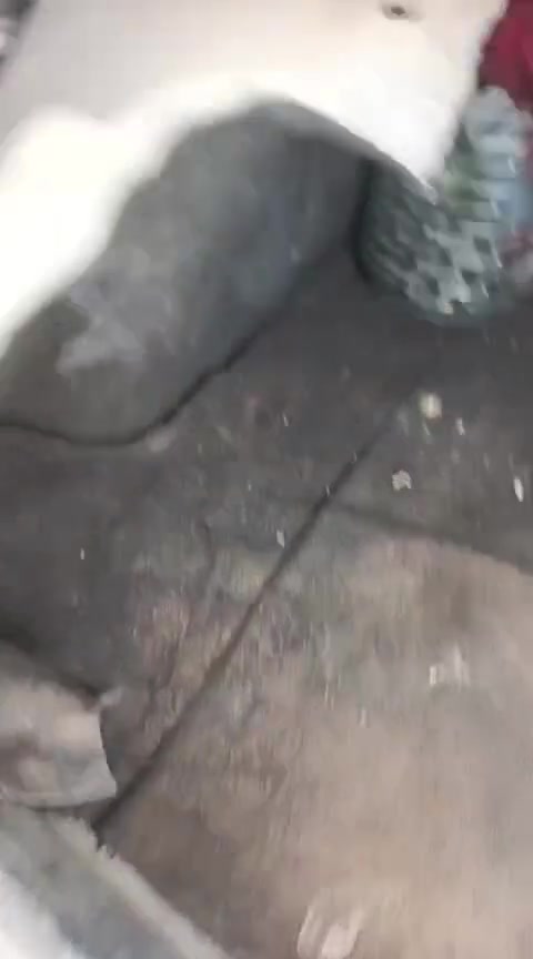 نيسان سنترا ٢٠٠٨
رقم بغداد سنويه لل٢٧

كلشي بيها شغال عدا التبريد 

ابيع بصمه وغرامات فقط مثل ما اشتريت 

السيار ه وارد امريكي 

بيها رشات صبغ 

مكان السياره بصره 

***********
