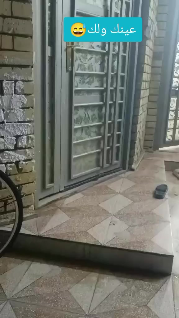 سلام عليكم باسكل للبيع مستعجل عله بيعته وسعر 120وبي مجال


**إذا كنت صاحب هذا الإعلان وتريد حذفه لأي سبب، رجاءا أرسل رسالة إلى الدعم الفني**