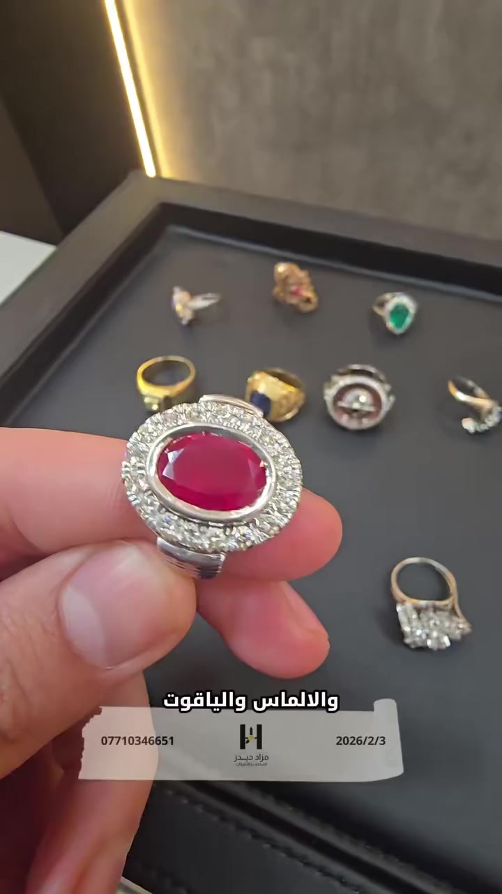 ⁨	⁨	انتظرونا في مزاد الاربعاء والخميس والجمعه⁩⁩


**إذا كنت صاحب هذا الإعلان وتريد حذفه لأي سبب، رجاءا أرسل رسالة إلى الدعم الفني**