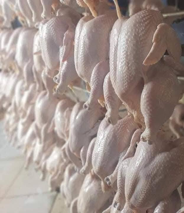 السلام عليكم يوجد دجاج خشن وناعم في محل ابو حسن العبادي سعر الدجاجه اكو 7500 وكو 8500 وكو 9500 الاحرار مقابيل كراج البلديه صدر دجاج الكيلو خمسه افخاذ دجاج افخاذ دجاج الكيلو خمسه اجنحه سعر الكيلو خمسه رقم الهاتف ***********
