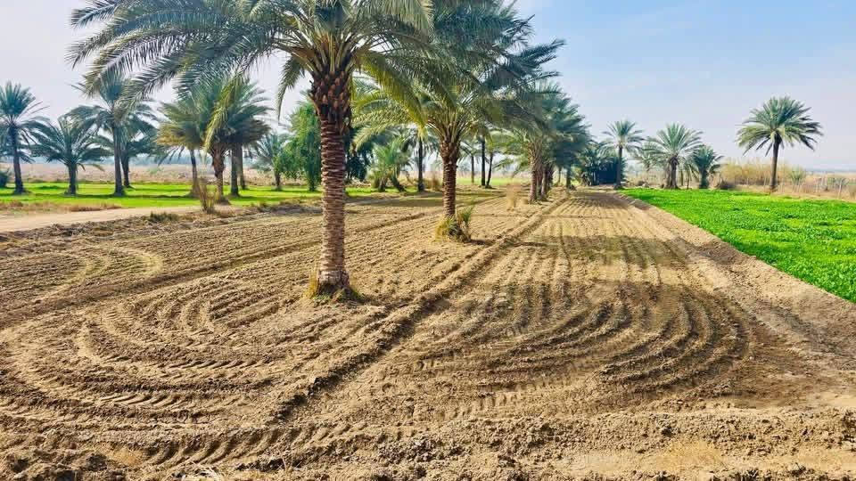 السلام عليكم شكد تريد موجود اليعجبك متوفر المساحات مخلتفه
طابو زراعي 25 تحويل مباشر بسم المشتري ما عليها كل مشاكل شغلنه أمن وأمان وضمان مساحات حلوه تريد سكن تريد مزرعه تريد استثمار من الدونم للستين دونم للاستفسار مراسلة الصفحة أو اتصال *********** 
@إشارة @#الجميع
