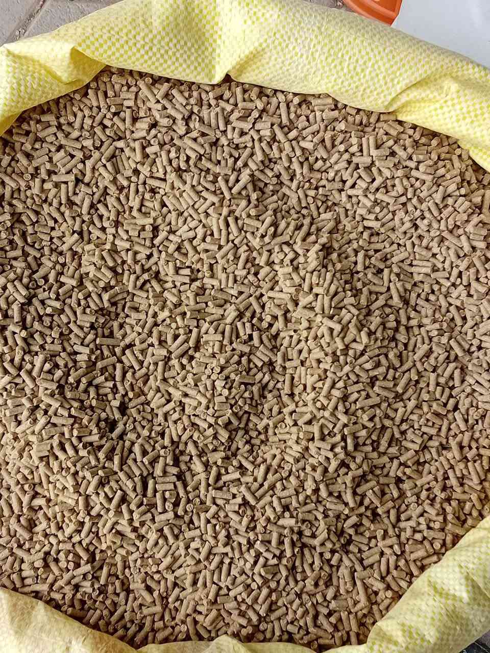 📢 إعلان – أعلاف 🌾🐄
تتوفر لدينا أعلاف 
أفضل أنواع الأعلاف الحيوانية ذات الجودة العالية
وبأسعار منافسة تناسب جميع المربين
🔹 أعلاف أبقار
🔹 أعلاف أغنام
🔹 أعلاف دواجن
🔹 
📍 العنوان: واسط_الصويرة– [ شارع الحله ركن شارع المركز]
📞 للاستفسار: [***********]
… الجوده اساس النجاح
