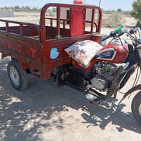 ستوته • موديل ١٩ • أوراق كاملة
