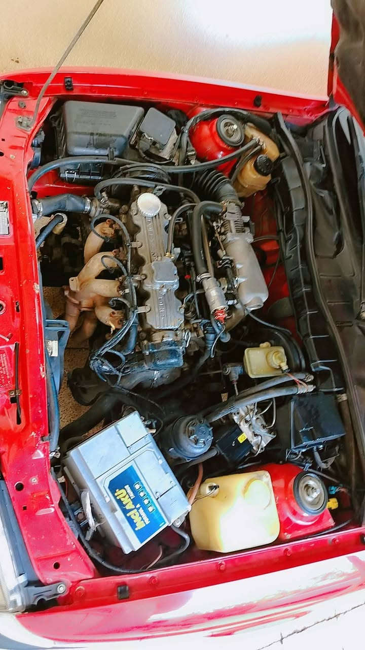 فكترا حجم 20
اللون احمر 
الموديل91
محرك2000
مصبوغه حزام جماليه فقط( صبغها درجه اولى)
رقم انكليزي
السياره باسمي
شرط التحويل فقط
كشنات جديده +ارضيات
كير +محرك شرط 
طخم جديد 
تايرات جديده 
باتري جديد
وايرمنه كلها شغاله
نظام ABS
قفل مركزي  
سياره متعوب عليها مال بيت
كابون بانزين بيها  
سياره جديده واحلى من الصوره 
مكان السياره موصل
للاستفسار***********
