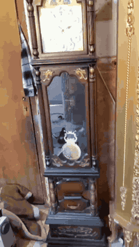 ساعات قياس مترين سعر الوحده 80 وبيه مجال
ميسان حي النداء ***********
