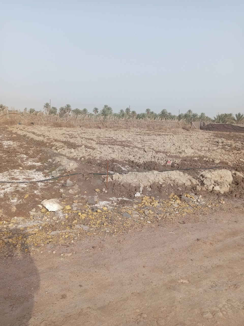 السلام عليكم ١٧٠٠،،دونم اله طابو اسهم بسمي تحول على طريق السفينه خلف ثانويت الواثق السياحي الثاني وجه ٤٦ والنزال ٣٧ ماء كهرباء متوفره ***********
