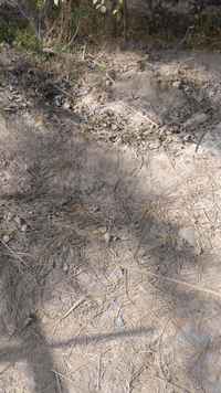 السلام عليكم دوانم للبيع قبل سيطره مال خزنه 4 دوانم مزروعات قريبات عل شارع 
***********
***********
ابو امير
