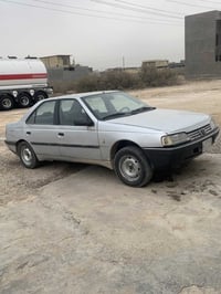 بيجو روا • ٢٠٠٩ • نهروان قرب بسمايه