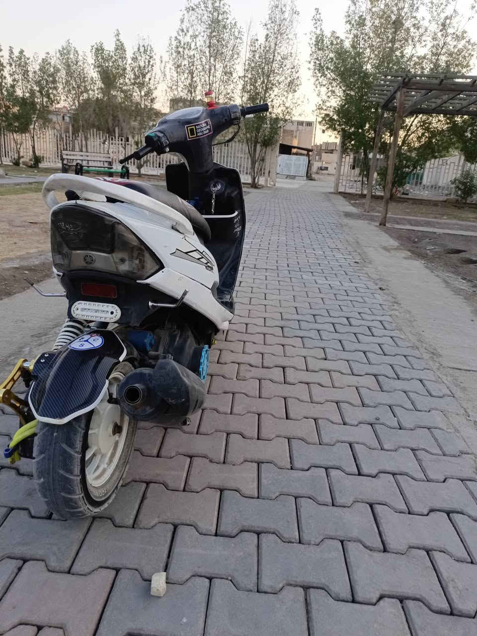 سلام عليكم ماكس عدله للبيع دراجه جاهزه شغاله هندر دراجه مزوده من اطول لطول بيه شيال راجع توبو بيه قبق فلاوين WF بيه وياله رياضي بيه جاملغات كاربون فايبر دراجه بيه شلعه طيران مكينه 55 مزوده كلهه كهربائيات شغاله كله اشاير لاين سكن بك لايت السعر 700 وبيه مجال للطيبين المكان مسيب حي المعلمين هذا رقمي ***********
