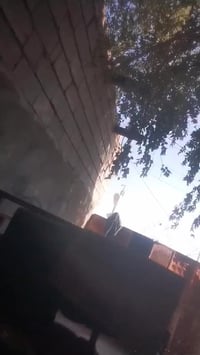 ستوتي • للبيع • مع ورق