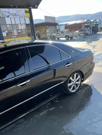 شاهين 182 • دهان أوروبي • مصبوغ على الهيكل