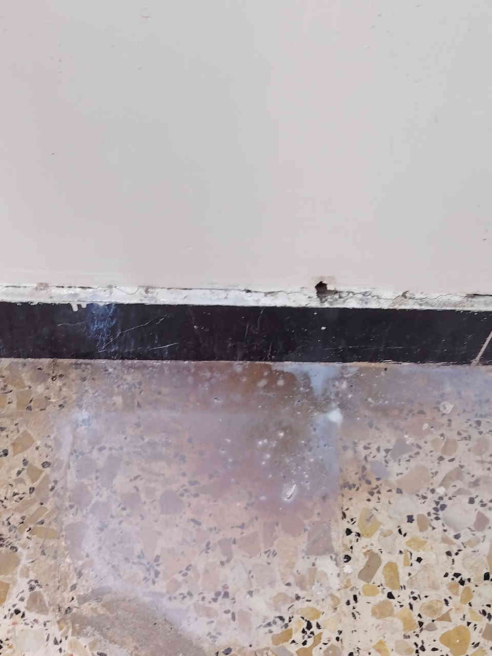 يوجد عمل مكافحت الرضه والحشرات كافت العلاجات للحشرات كادر عمل متوفر تكريت او خارج تكريت ***********
