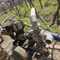 ماطور مصري • دبل بستم • صونده 8م