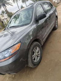 سنتافي • ٢٠٠٩ • وارد امريكي