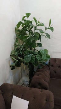 20 الف حريه دور 07760810320 وتساب وتساب 07763651107