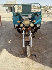 07810136788 شباب ستوته للبيع2022