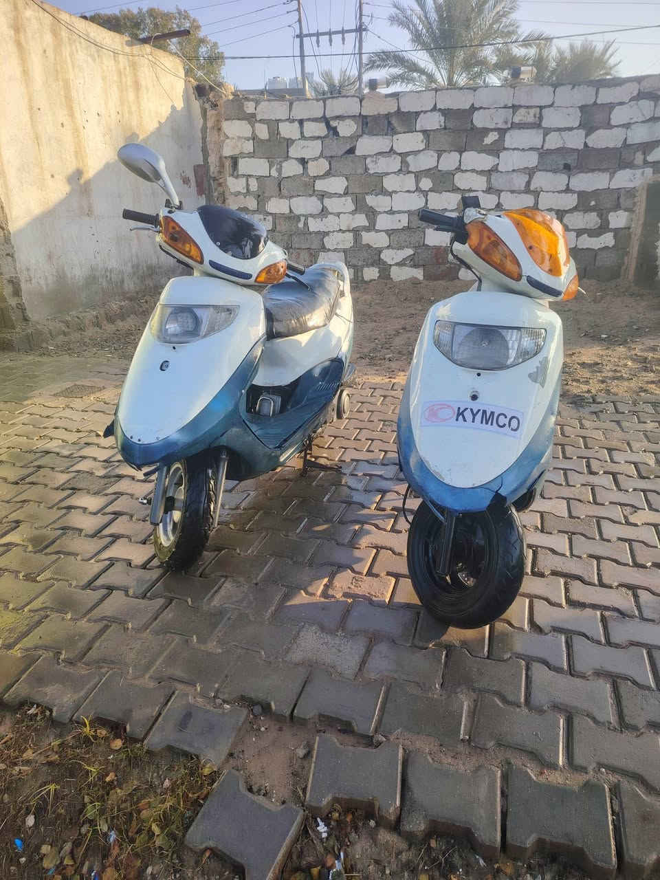 السلام عليكم للبيع دراجات كامكو ابيع هل موجود دراجات تاركهن هنه مابيهن شي بس اني تاركهن أكثر من شهر مكان نجف كوفه علوه الفحل لستفسار على الرقم ***********
