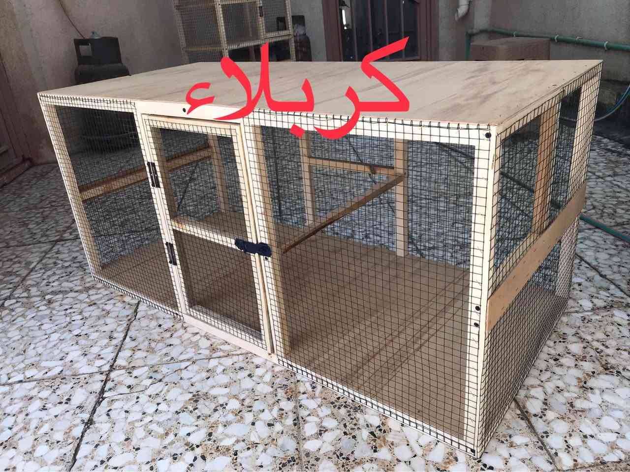 قفص جديد العرض متر و20 سم والارتفاع 55 سم والنزال 55 سم /كربلاء حي الانتفاضه الثانيه كربلاء, العراق


**إذا كنت صاحب هذا الإعلان وتريد حذفه لأي سبب، رجاءا أرسل رسالة إلى الدعم الفني**