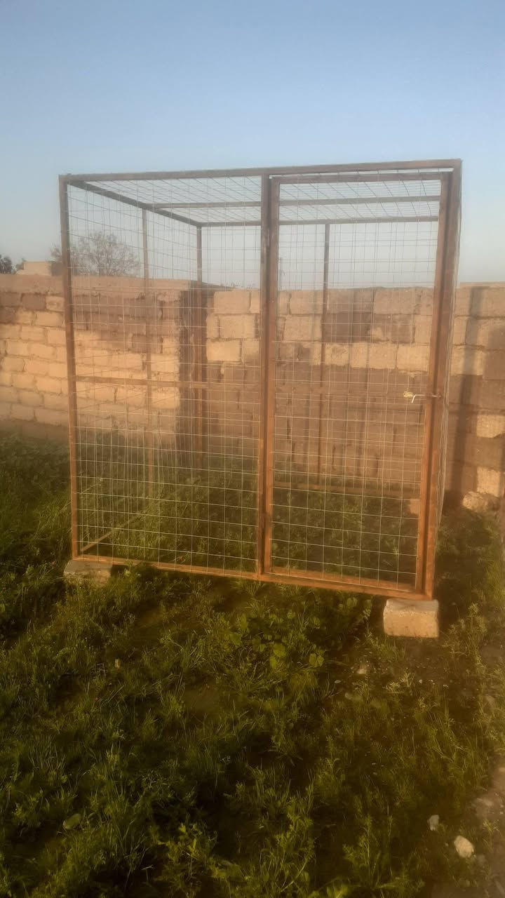 السلام عليكم قفص حديد للبيع فصال الطول ٢م والعرض ٢م والارتفاع ٢م حديد بوري مربع انج وربع القواطع زاوية انج وربع الهسكو الفتحة ٩سم الشيش سماكته ٤ملم جديد طك اتصل على الرقم ***********
