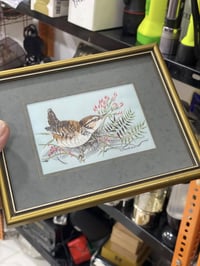 الاصلي • انكليزي ألماني • توصيل المحافظات