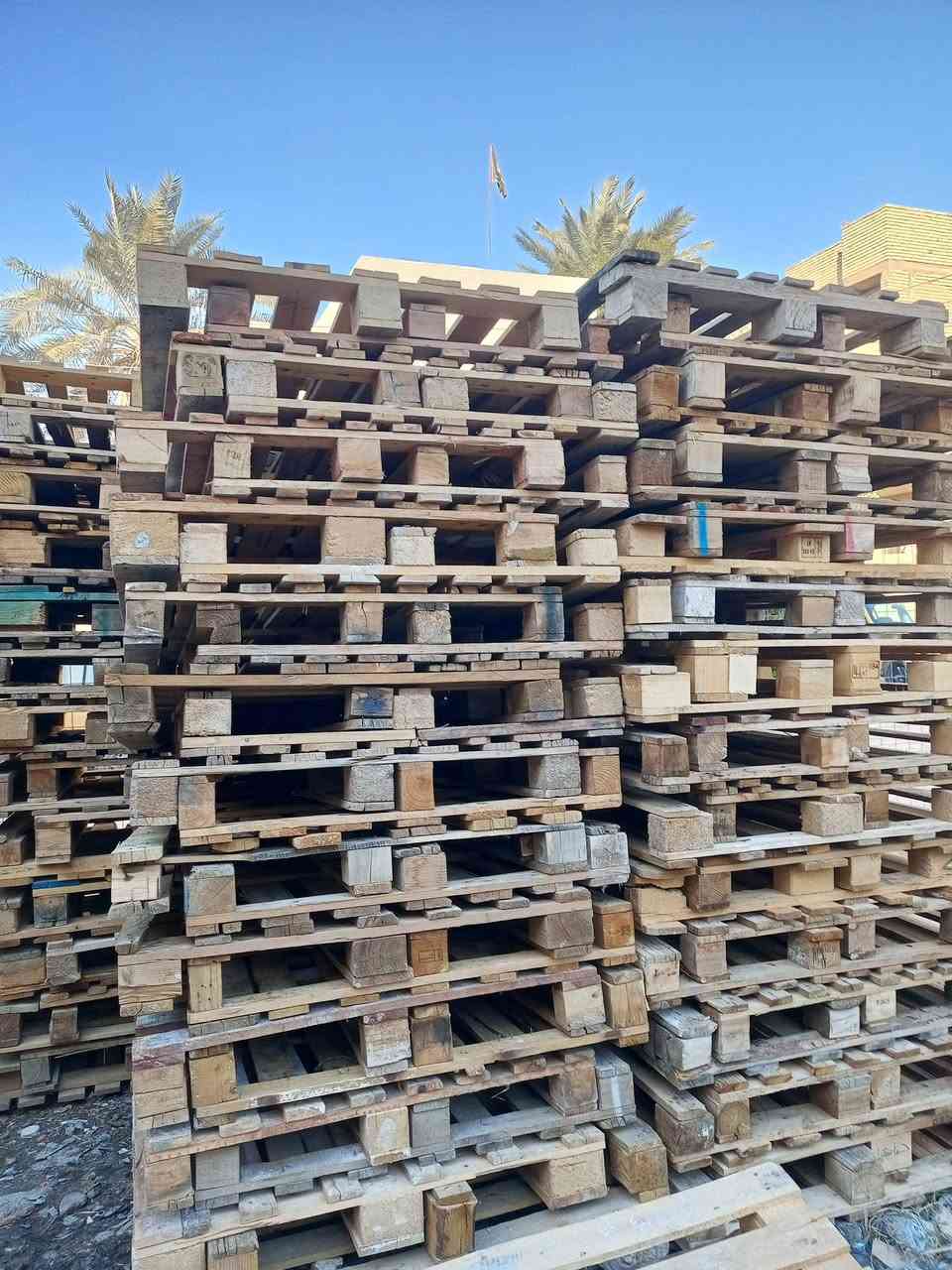 سكيب 120×100 نضيف 

العدد 350 المكان بغداد الشعب 

***********
