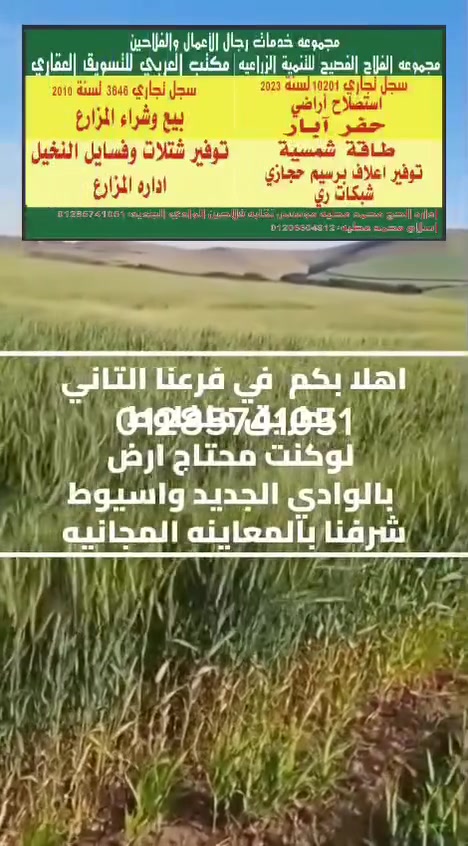 عروض كل يوم جمعه بتخفيض عموله المكتب لااي عميل يتواصل بنا يوم ابجمعه  لحجز موعد المعاينه والاستفسار عن عروضنا واقتراب نهايه سهم البرسيم الحجازي للاستفسار عن العروض ٠١٢٨٥٧٤١٠٥١


**إذا كنت صاحب هذا الإعلان وتريد حذفه لأي سبب، رجاءا أرسل رسالة إلى الدعم الفني**