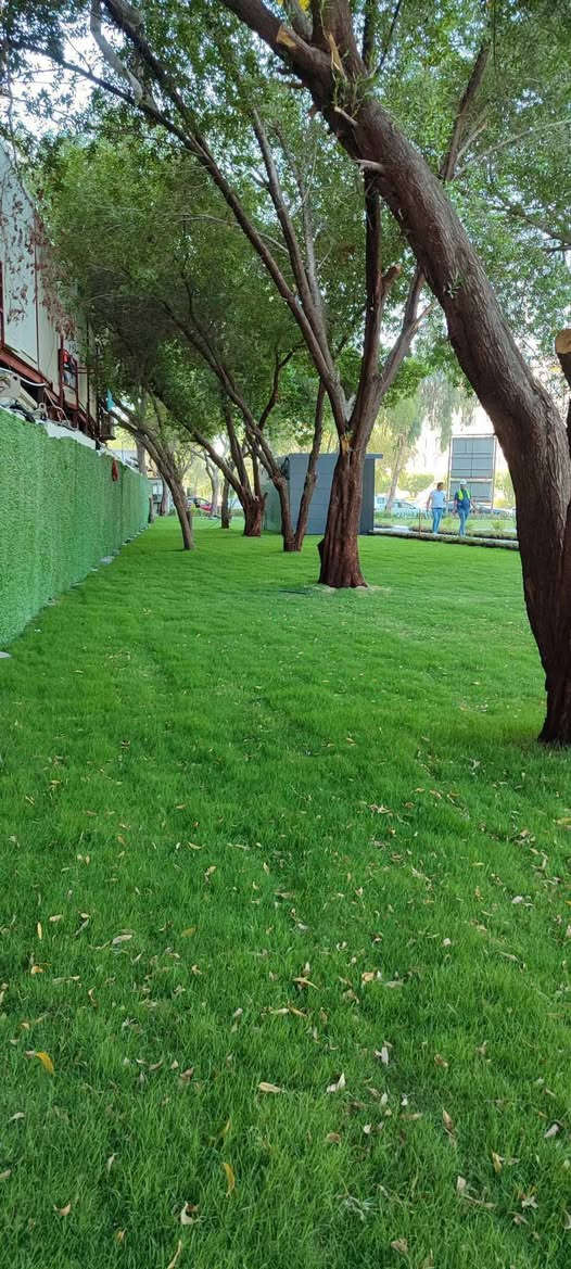 من رخصة الادمن المحترم ثيل بأنواعه كافة واصل إلى باب البيت
***********
