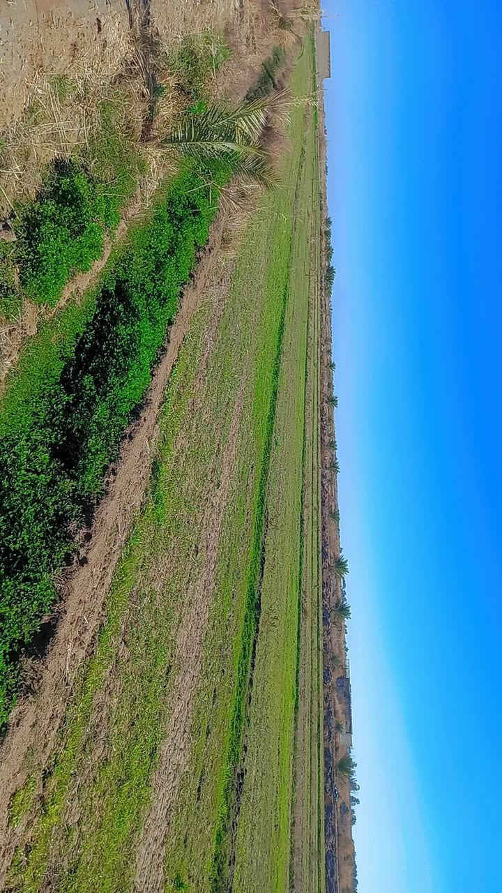 سلام عليكم أرض زراعيه مساحه 9  دونم صنف الأرض عقد 35  مجدد 24  بسمي منطقة جماليه للستفسار اتصل على الرقم ***********
