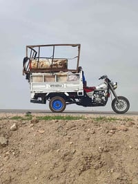 ستوتة • موديل ٢٠٢٤ • مو تعبانة