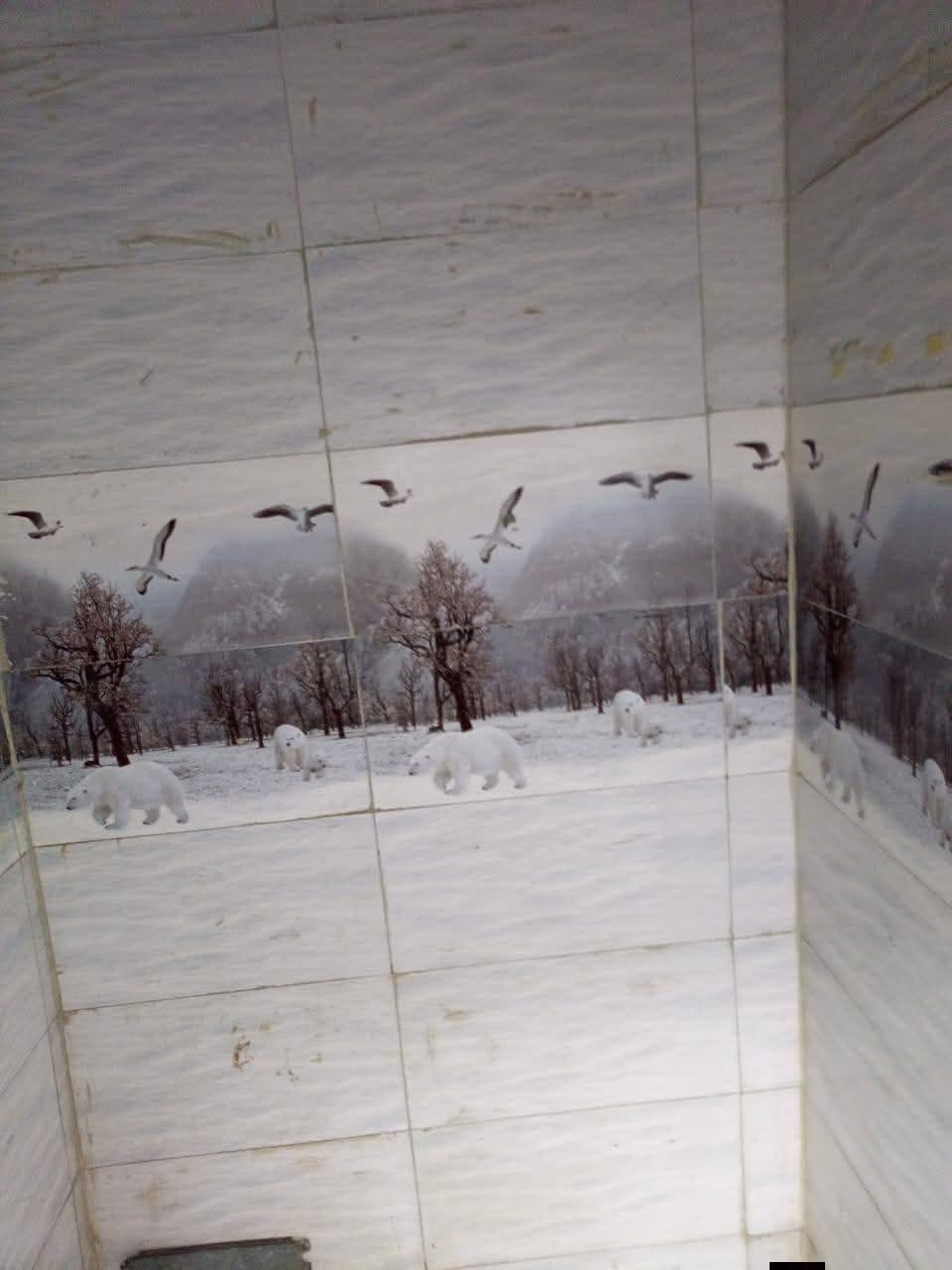 بيت 50 متر ب 14  مليون وبيه مجال  
 
بناء بلوك سقف عكاده 
خدمات كامله مدرسه قريبه كلش العنوان نجف الاشرف مقابل قرية الغدير الاولى شارع الصب عمود 276
للستفسار 
اتصال ***********‬‏
واتساب ***********
