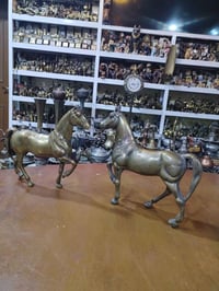 ثنينهم • البصرة