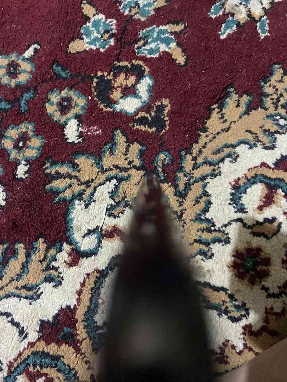 يا الله السلام عليكم ايفون ١١برو ماكس                           ٢٥٦                      بطاريه ١٠٠ قبل كم يوم بدلتها يم الأماني بي جزء صغير ب الشاشه ما يلمس من اثر الفتح بس ما مأثر ع استخدام جهاز خير من الله بس التغير حلو سعره ٣٠٠ وبي مجال قليل للطيبين ما متوفر بس رقم *********** توصيل موجود مكاني كربلاء طويريج🌱❣️
