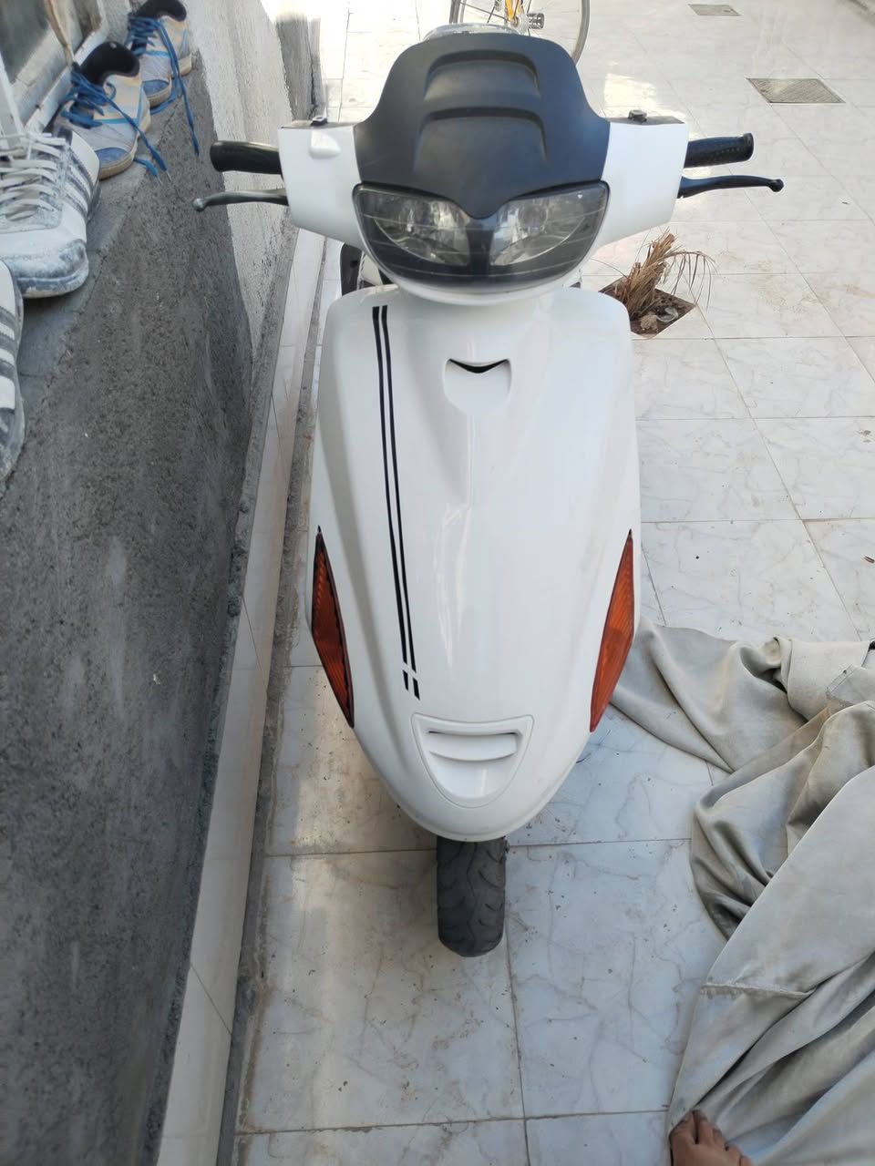 فراشه للبيع مكفوله ومشروطه من كلشي المكان كوفه ناحيه الحريه
الشراي يجي خاص


**إذا كنت صاحب هذا الإعلان وتريد حذفه لأي سبب، رجاءا أرسل رسالة إلى الدعم الفني**